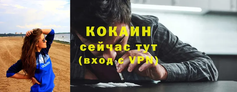 Cocaine FishScale  где купить наркоту  Белёв 