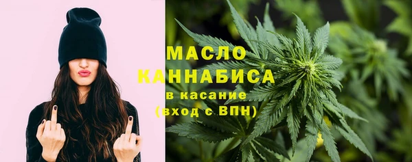 мдпв Дмитриев