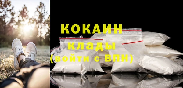 герыч Пересвет