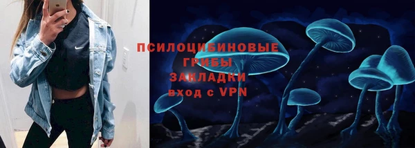 герыч Пересвет