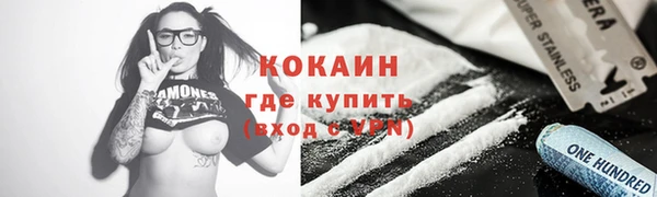 индика Иноземцево