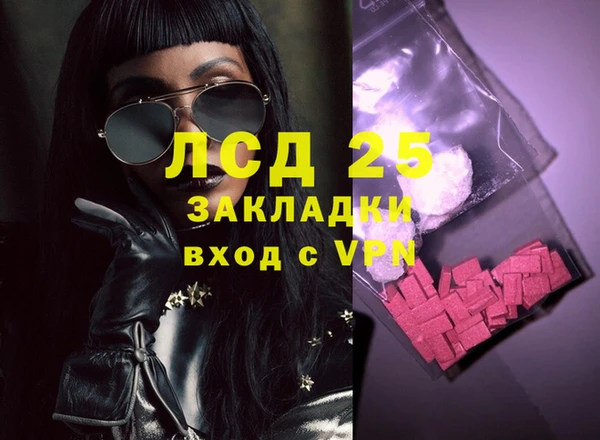 индика Иноземцево