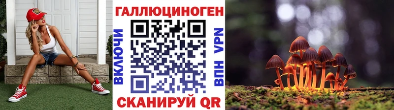 Галлюциногенные грибы Cubensis  закладка  Белёв 