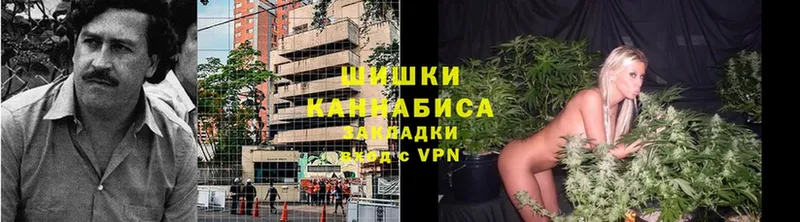 Бошки марихуана Amnesia ссылка на мегу ссылка мориарти официальный сайт Белёв